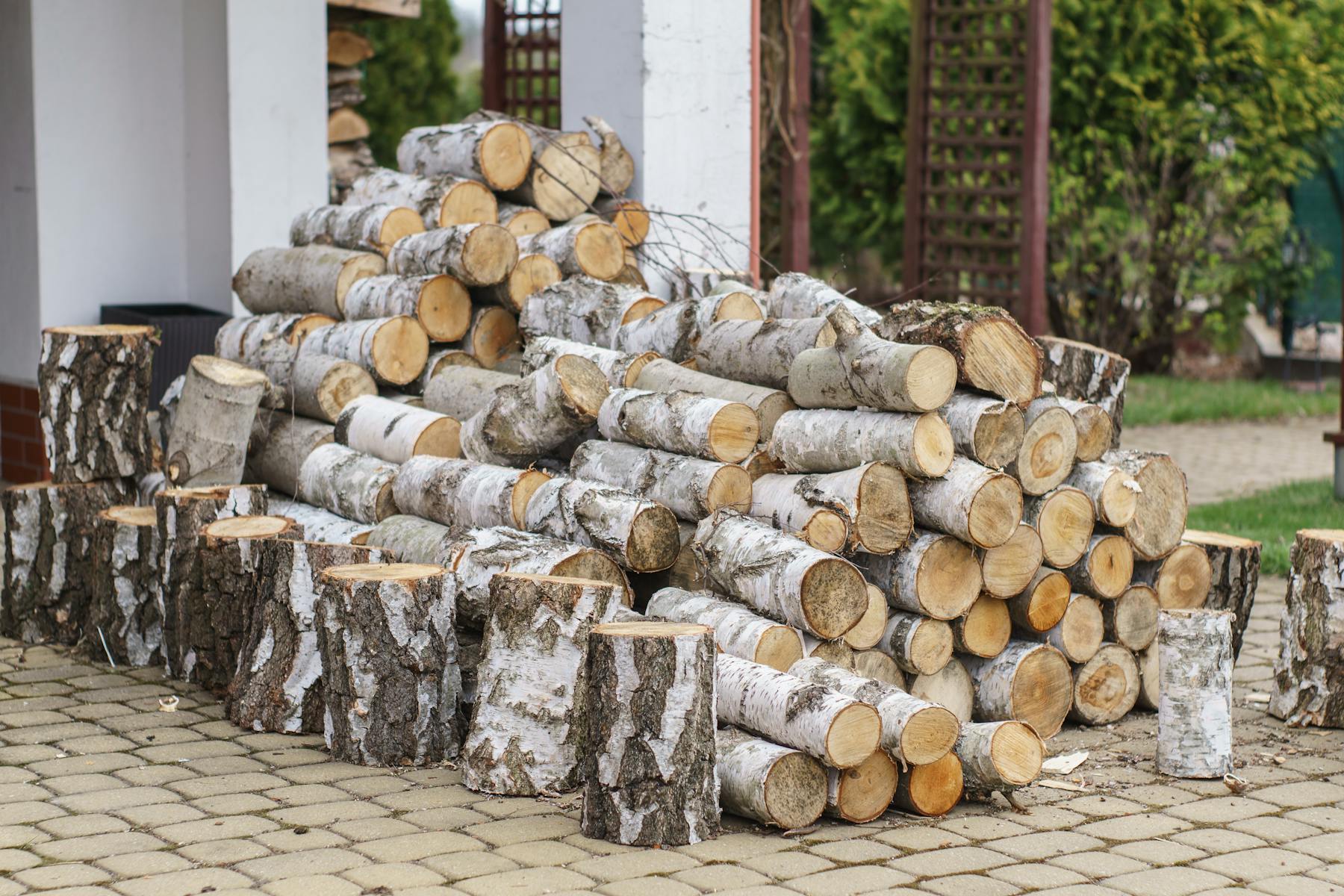 Premium birch firewood logs