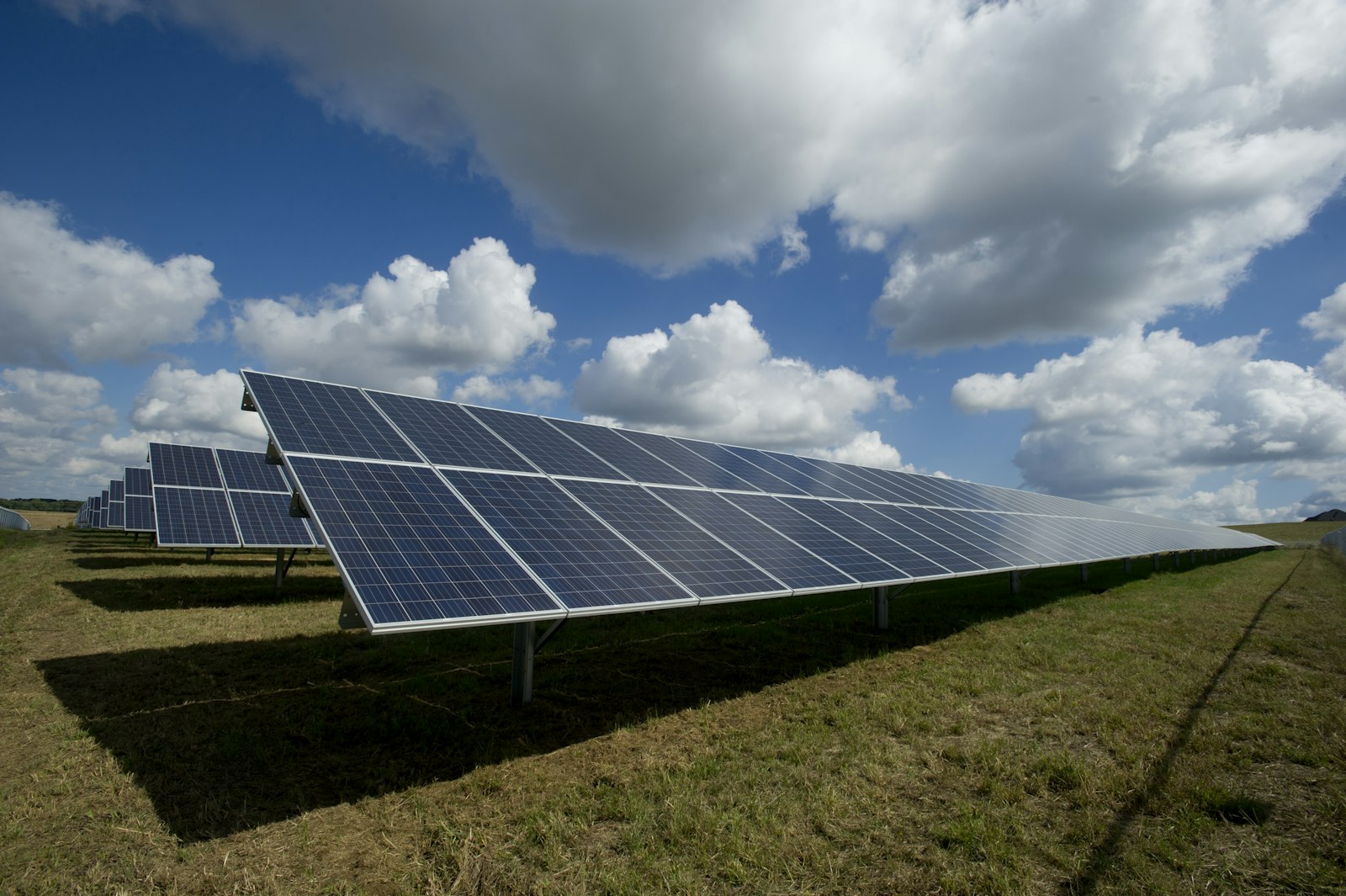 Rows of solar photovoltaic modules in a field